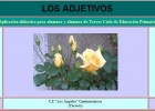 Los adjetivos | Recurso educativo 35293