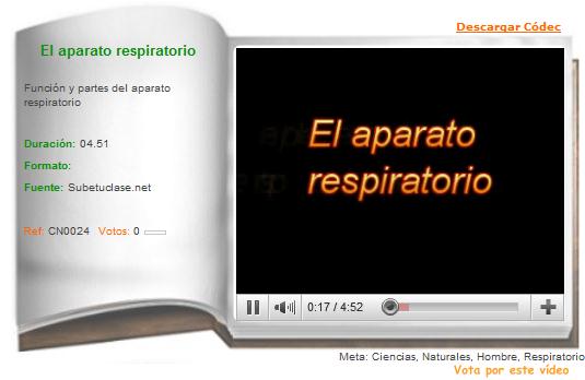 El aparato respiratorio | Recurso educativo 36233