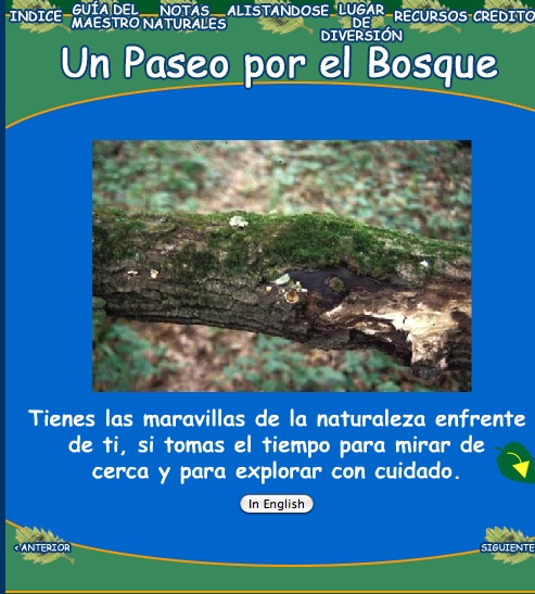 Un paseo por el bosque | Recurso educativo 36441