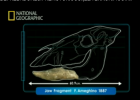 Depredadores prehistóricos: 1-El territorio raptor | Recurso educativo 37927