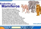 Evolución de los Mamíferos | Recurso educativo 39465