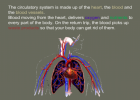 The circulatory system | Recurso educativo 40391