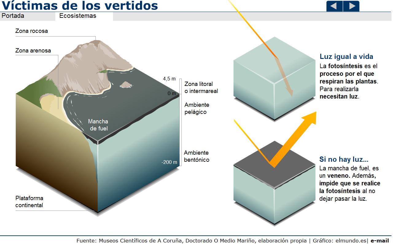 Trajedia ecológica. Víctimas de los vertidos | Recurso educativo 41168