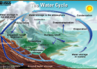 Webquest: The water cycle | Recurso educativo 43017