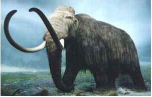 El Mamut, ese desconocido | Recurso educativo 44734