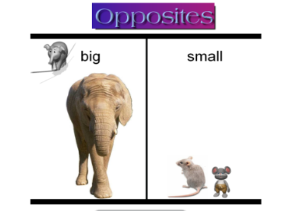 Opposites | Recurso educativo 45464