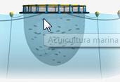 Acuicultura marina | Recurso educativo 46292