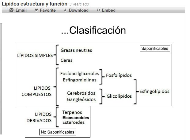 Els lípids i la seva funció | Recurso educativo 46619