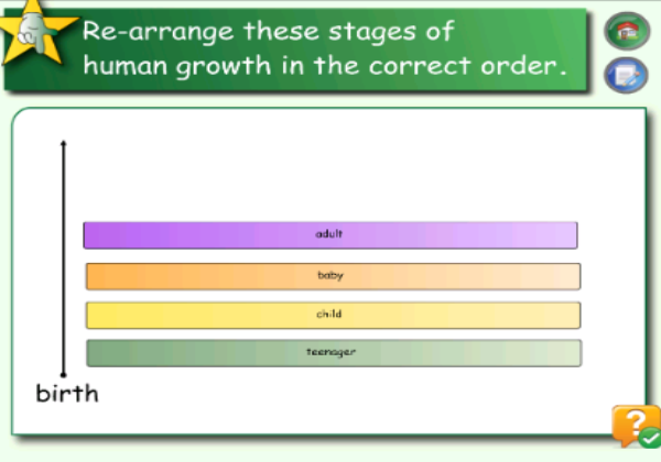 Human life cyle | Recurso educativo 46677