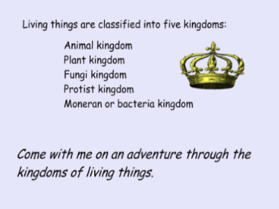 Five kingdoms of living things | Recurso educativo 46714