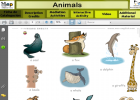 Animals (1) | Recurso educativo 47023