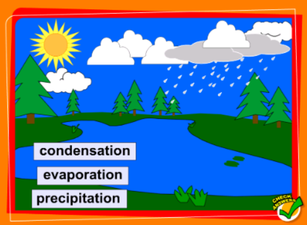 The Sun's energy | Recurso educativo 47461