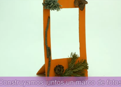 Marco con plantas | Recurso educativo 47625