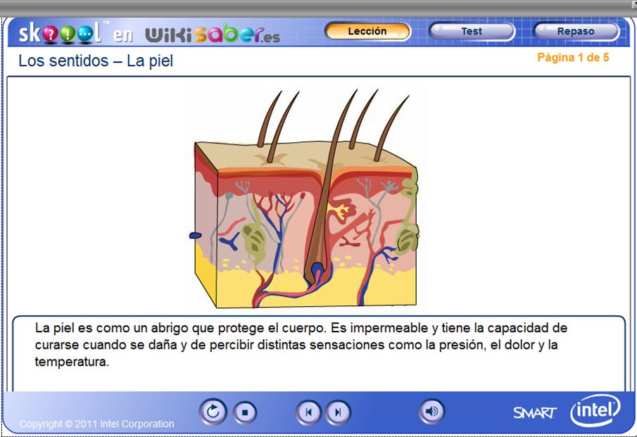 Los sentidos - La piel | Recurso educativo 48416