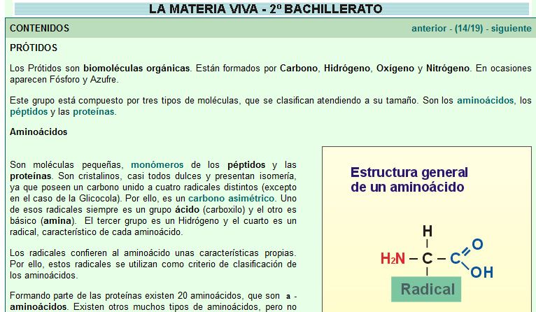 Aminoácidos | Recurso educativo 48748