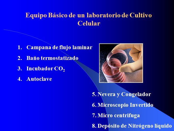 Cultius cel·lulars | Recurso educativo 49807