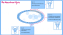 The menstrual cycle | Recurso educativo 53504