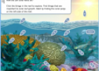 Coral reefs | Recurso educativo 58974