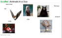 Animals in a zoo | Recurso educativo 59806