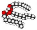 Los acil-glicéridos | Recurso educativo 61645