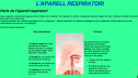 Text: L'aparell respiratori | Recurso educativo 10331