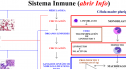 Inmunología | Recurso educativo 13900