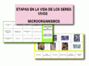 Seres vivos y microorganismos | Recurso educativo 21794