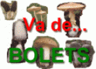 Va de bolets! | Recurso educativo 23880