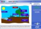 Crecimiento y distribución de poblaciones | Recurso educativo 2477