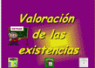 Valoración de existencias | Recurso educativo 24786