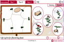 Life cycle | Recurso educativo 27410