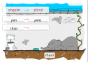 Singular or plural? | Recurso educativo 29419