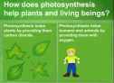 Photosynthesis | Recurso educativo 62562