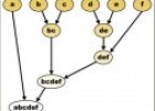 El árbol de la vida | Recurso educativo 63722