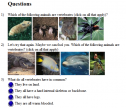 Vertebrates quiz | Recurso educativo 67581