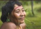 Tribal peoples: The Yanomami | Recurso educativo 69107