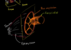 Anatomy of a muscle cell | Recurso educativo 72076