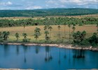 América: clima y vegetación | Recurso educativo 74093