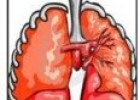 Biología de los pulmones y de las vías respiratorias | Recurso educativo 76230