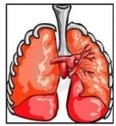 Fibrosis quística | Recurso educativo 76242