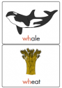 Phonic card: Wh- | Recurso educativo 78801