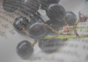 El vino en la literatura | Recurso educativo 94531