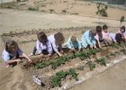 Escola, Agricultura i Alimentació Ecològica. | Recurso educativo 677893