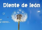 Diente de león: ¿Cómo se acentúan diptongos e hiatos? | Recurso educativo 687604