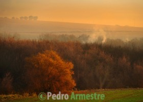 SPAIN-N.PARK-TABLAS DE DAIMIEL | Pedro Armestre | Recurso educativo 725511