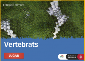 Els Vertebrats - Zoo de Barcelona - Ed. Primària | Recurso educativo 725933