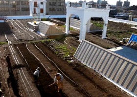 Farming on a Rooftop | Recurso educativo 730962