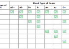 Blood Type Game | American Red Cross | Recurso educativo 733461