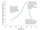 Rate of digestion | Recurso educativo 733628