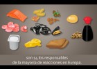 Alergias alimentarias | Recurso educativo 734276